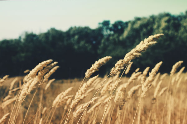 服务器攻击方式